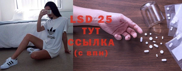 хмурый Белокуриха