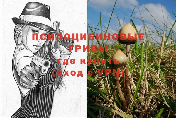 гидра Беломорск