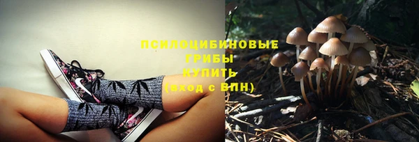 эйфоретик Архангельск