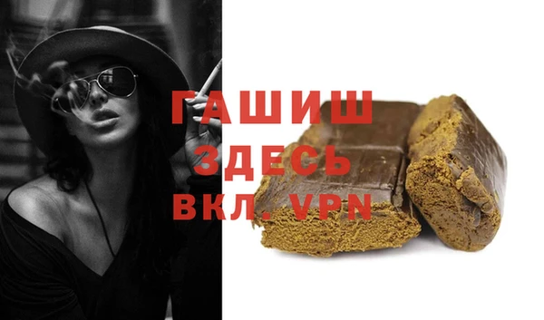 хмурый Белокуриха