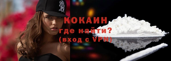 хмурый Белокуриха