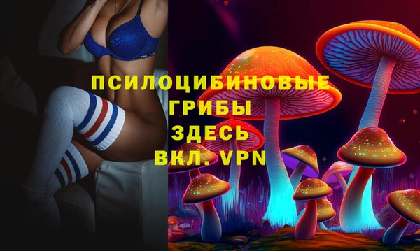 прущий лед Гусь-Хрустальный