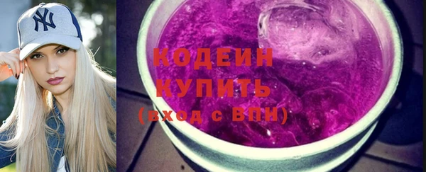 хмурый Белокуриха