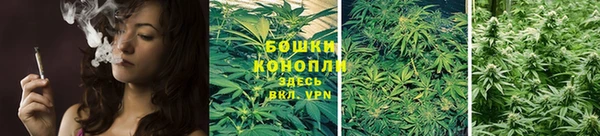 хмурый Белокуриха