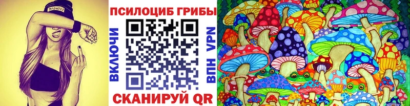 Галлюциногенные грибы MAGIC MUSHROOMS  Ершов 