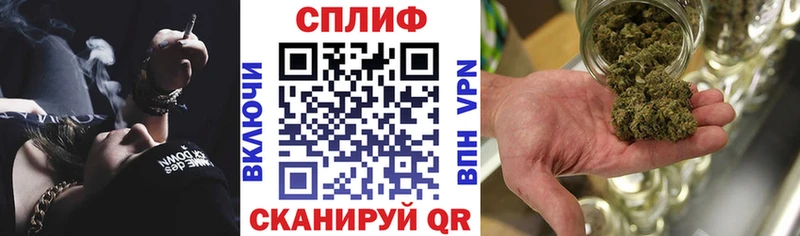 Конопля марихуана Ершов